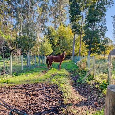Casa Do Moinho Rural Campo E Praia , 9 Pessoas, Animais Benvindos เอสปีโญ ภายนอก รูปภาพ