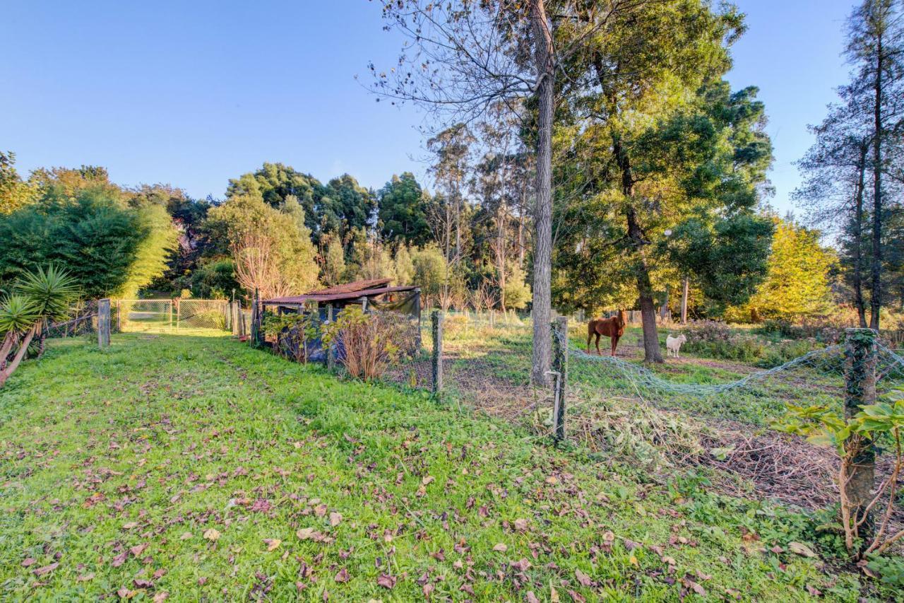Casa Do Moinho Rural Campo E Praia , 9 Pessoas, Animais Benvindos เอสปีโญ ภายนอก รูปภาพ