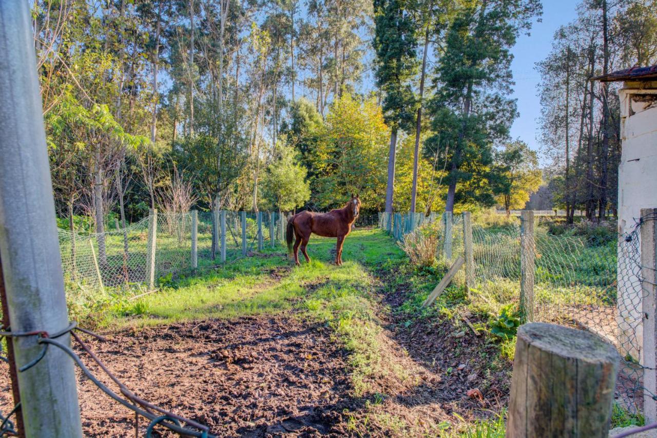 Casa Do Moinho Rural Campo E Praia , 9 Pessoas, Animais Benvindos เอสปีโญ ภายนอก รูปภาพ